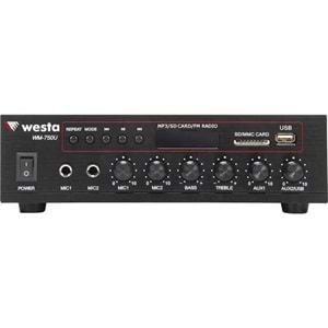 WESTA WM-750U 80 WATT AMPLİFİER